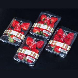いちご べにたま 埼玉県産 4パック 爆買 : 産直プレミアム - 通販