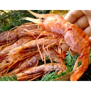 『ぼたん海老』ロシア産 卵を持った メス限定 約500g（9〜12尾）