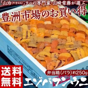 うに ウニ 雲丹【お買い得】『エゾバフンウニ』弁当箱(バラ)約250g 北海道またはロシア産 ※冷蔵 送料無料【豊洲市場直送】｜tsukijiichiba