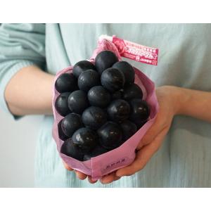 ナガノパープル 長野県産 ぶどう 2房 計約1.1kg 簡易箱 ※冷蔵 送料無料