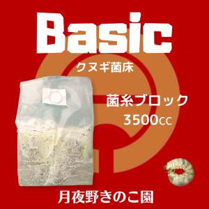 Basicクヌギ バラ(菌糸ブロック・菌床ブロック)の詳細画像1