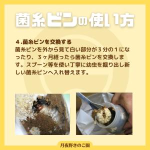 E-1100 バラ(菌糸瓶・菌糸ビン)の詳細画像5