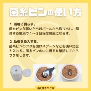 E-1400 バラ(菌糸瓶・菌糸ビン)の詳細画像3