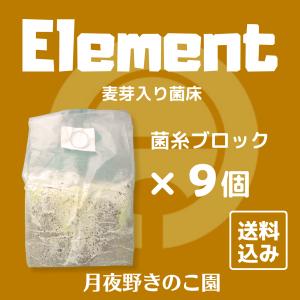 E-Block【9】(菌糸ブロック・菌床ブロッ...の詳細画像1