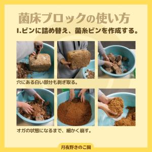 E-Block【9】(菌糸ブロック・菌床ブロッ...の詳細画像4