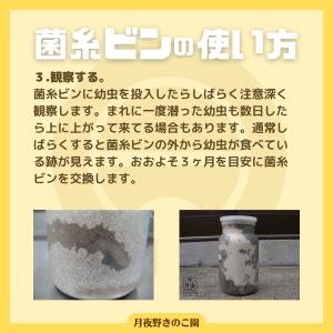 EP-1100菌糸 バラ(菌糸瓶・菌糸ビン)の詳細画像5