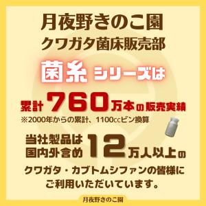 EP-1400菌糸 15本入(菌糸瓶・菌糸ビン...の詳細画像2