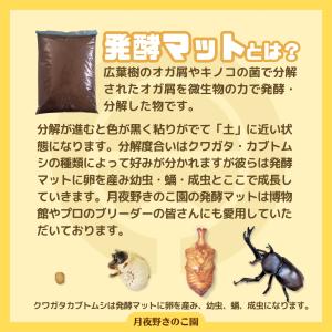 完熟Mat-【50L】(昆虫マット・発酵マット...の詳細画像4