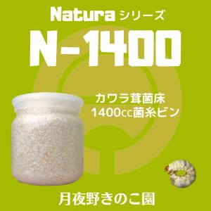 N-1400 バラ(菌糸瓶・菌糸ビン)の詳細画像1