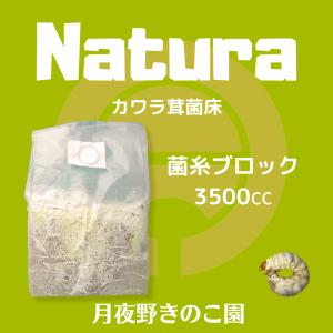 N-カワラblock バラ(菌糸ブロック・菌床...の詳細画像1