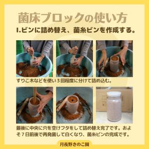 N-カワラblock【9】(菌糸ブロック・菌床...の詳細画像5