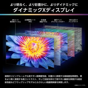【無料長期保証】ハイセンス 116U9R 11...の詳細画像4