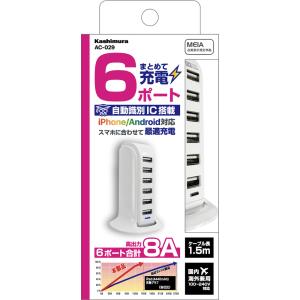 SanDisk（サンディスク） 【au】iXpand(R) ワイヤレスチャージャー