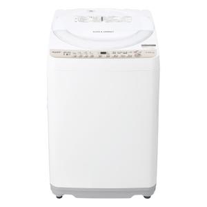 【美品】2024年製 TOSHIBA 洗濯機 AW-7GM2 7kg AW-7GM2-W 東芝 洗濯機 TOSHIBA 全自動洗濯機 洗濯7kg : サカイ