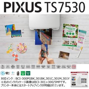 キヤノン PIXUSTS7530WH プリンタ...の詳細画像2