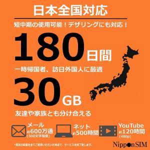 Nippon SIM for Japan 標準...の詳細画像2