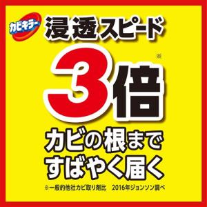 J&J カビキラー 付け替え (400g)の詳細画像3