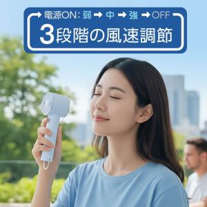 GH-FANHHW-IV ペルチェ素子搭載冷却...の詳細画像4