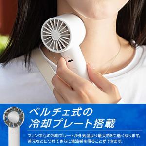 GH-FANHHW-BL ペルチェ素子搭載冷却...の詳細画像5
