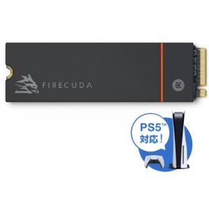 ZP2000GM3A023 [M.2 NVMe ...の商品画像