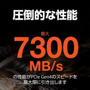 ZP2000GM3A023 [M.2 NVMe...の詳細画像2