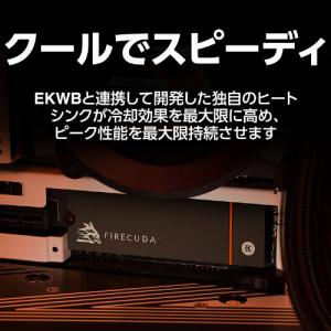 ZP2000GM3A023 [M.2 NVMe...の詳細画像4
