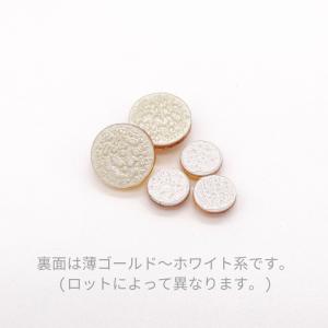 【グロスパック】プレシオサ PRECIOSA ...の詳細画像3