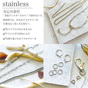 ステンレスピアス(フィッシュフック)/SSEH...の詳細画像4