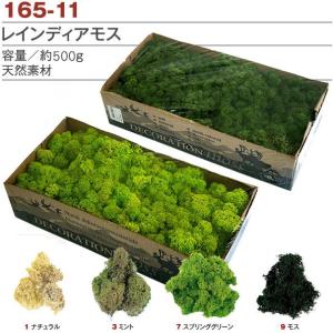 モス レインディアモス 500g 苔 こけ ガーデニング お徳用500g