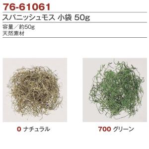 スパニッシュモス 50g 苔 こけ ガーデニング...の商品画像