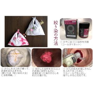 染料 みやこ染め コールダイオール ECO 約...の詳細画像3