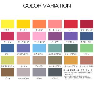 染料 みやこ染め コールダイオール 10g&ミ...の詳細画像1