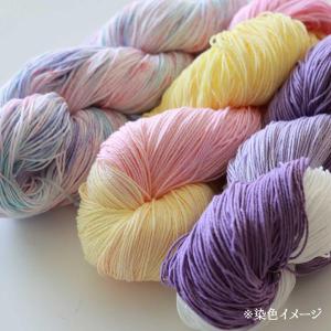 染料 みやこ染め コールダイオール 10g&ミ...の詳細画像5