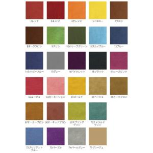 染料 みやこ染め コールダイホット ECO 約...の詳細画像1