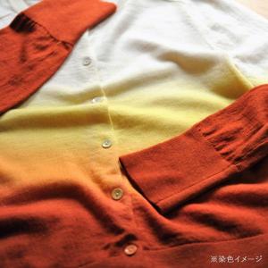 染料 みやこ染め コールダイホット 10g&ミ...の詳細画像5