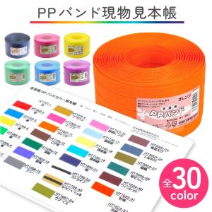 PPバンド見本帳 手芸用 PPバンド PPテープ...の商品画像