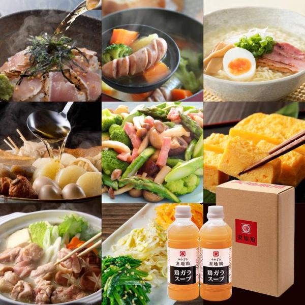 【リニューアル新発売！】【送料込】妻地鶏の鶏ガラスープ（濃縮２倍希釈）500ｍＬ２本入