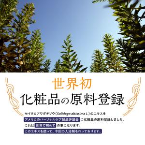 入浴剤 バスソルト ゴールデンロッド 66回 ...の詳細画像3