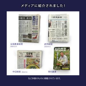 入浴剤 バスソルト ゴールデンロッド 66回 ...の詳細画像1