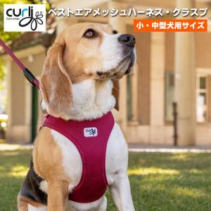 ポイント10倍 スイスデザイン【Curli】 ベストエアメッシュハーネス・クラスプ【CLASP/VEST AIR MESH HARNESS】 小・中型犬用サイズ