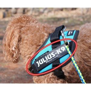 ポイント10倍 ユリウスケーナイン・ＩＤＣパワーハーネス用ラベル