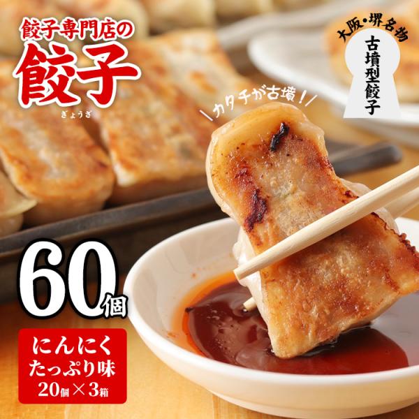 餃子 60個 餃子専門店 取り寄せ 焼餃子 20個×3箱 にんにく味 もっちり ジューシー 皮がパリ...