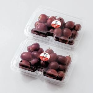 訳あり クイーンルージュ〓 約700g (約3...の詳細画像4