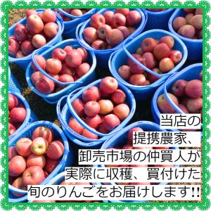 訳あり サンふじ りんご 3kg 長野県産 家...の詳細画像1