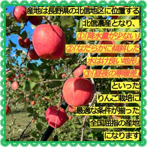 訳あり サンふじ りんご 3kg 長野県産 家...の詳細画像2