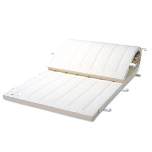 体操マット 学校 マット運動 体育用マット 0214T 9号 120×240×厚5 日本