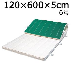 体操マット 学校 マット運動 滑り止め付 体育...の詳細画像1