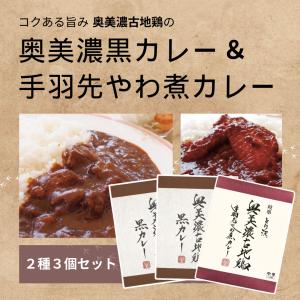 奥美濃古地鶏カレー｜tsunagutable