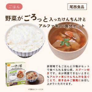 非常食 2日分 1人用 2人用 8品 ご飯 パ...の詳細画像4