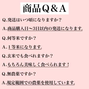 ＼生活応援価格!!/ 魚沼産コシヒカリ1等米 ...の詳細画像2
